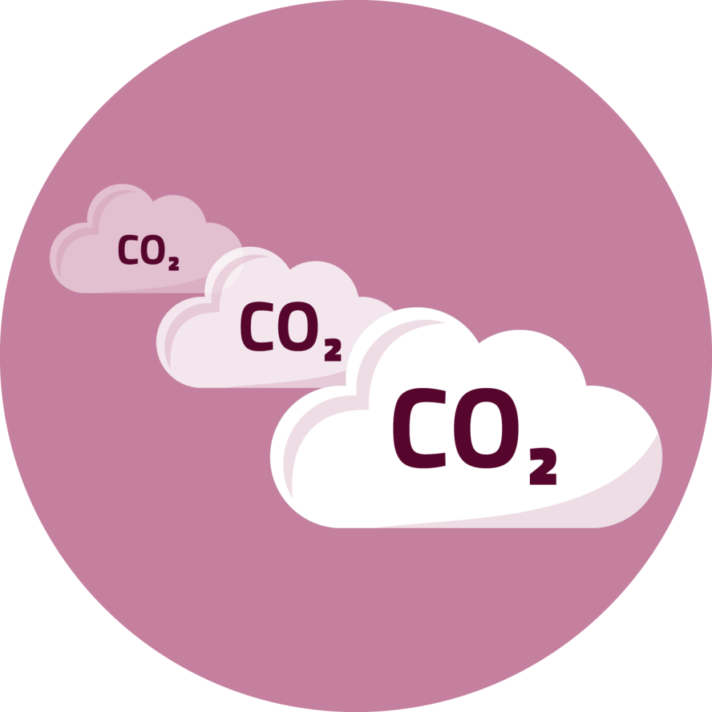 Icona nuvole con scritta CO2